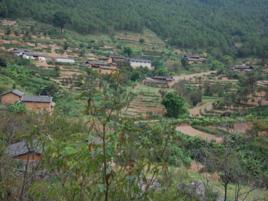 坪子村[雲南省宣威市得祿鄉坪子村]