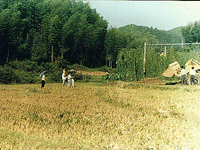 青磁窯街道