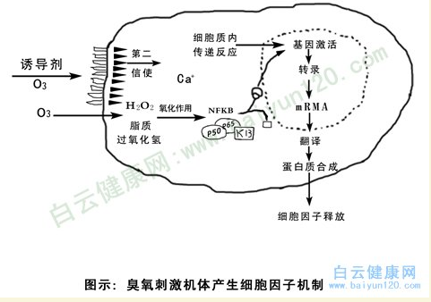 德國生物氧化療法