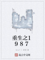 重生之1987