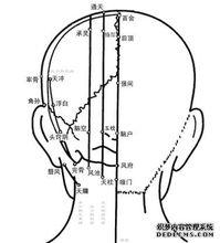 指壓療法