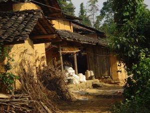 獨樹村[雲南西疇縣蓮花塘鄉下轄村]