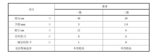 苗木的質量要求