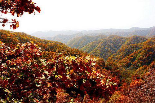 黃龍山地貌特徵