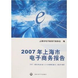 2007年上海市電子商務報告