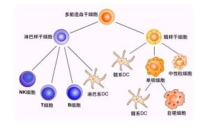 生物細胞免疫治療