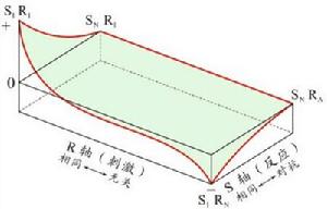 奧斯古德的三維遷移模式