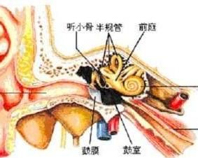 內耳迷路