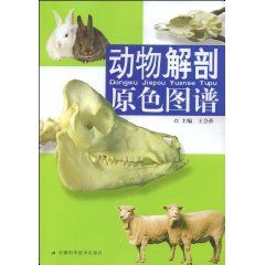 《動物解剖原色圖譜》