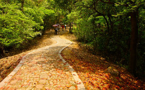 秋季的西山游步道