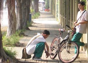 《男孩都想有輛車》劇照