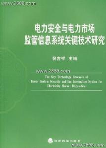 電力安全與電力市場監管信息系統關鍵技術研究