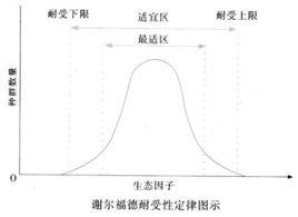 謝爾福德耐受性定律