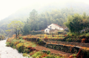 東疃村