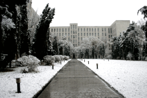 東北林業大學