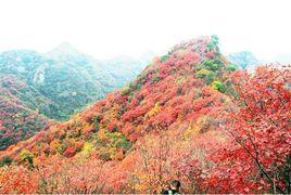 七里山