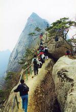 中國鳳凰山[遼寧省丹東市鳳凰山]