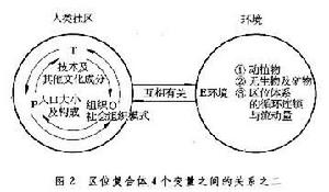 區位複合體