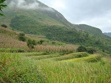 老君山[雲南省馬關縣老君山]