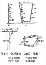 籬架