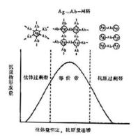 前帶、後帶效應