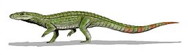 四川鱷（學名：Sichuanosuchus）是種已滅絕鱷形超目，生存於侏羅紀晚期到白堊紀早期的中國。四川鱷化石時期： 侏羅紀晚期到白堊紀早期  科學分類 界： 動物界 Animalia 門： 脊索動物門 Chordata 綱： 蜥形綱 Sauropsida 下綱： 主龍形下綱 Archosauromorpha 總目： 鱷形超目 Crocodylomorpha 屬： 四川鱷屬 SichuanosuchusPeng, 1995  種 匯東四川鱷 S. huidongensis Peng, 1995 (模式種) 蜀漢四川鱷 S. shuhanensis Wu et al., 1997