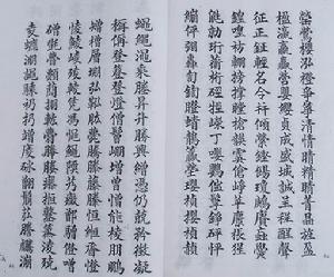 王樵書法