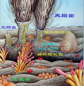 海底資源