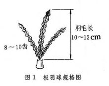 板羽球規格圖