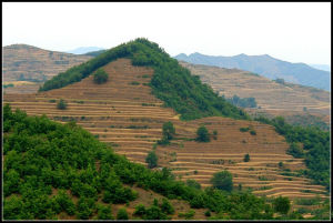 登山梯田