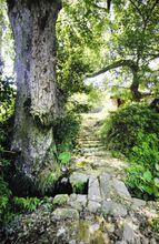 關西村[福建省閩侯縣荊溪鎮轄村]