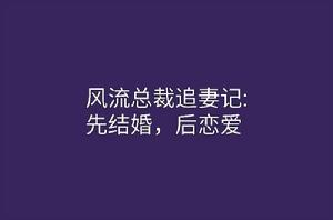 風流總裁追妻記：先結婚，後戀愛