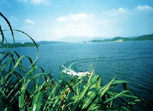 鸞回鳳舉龍王島