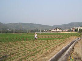 湖內村[福建省泉州南安市樂峰鎮下轄村]