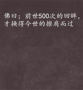 佛曰；前世500次的回眸，才換得今世的擦肩而過