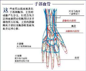 先天性手部疾患