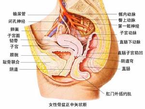 肛管直腸癌