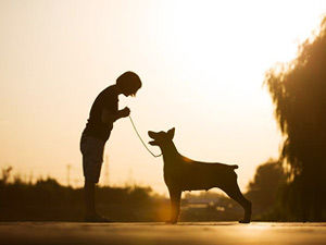 牽犬師