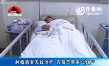 濟南骨科醫院愛心認購平安果