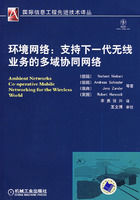 《環境網路：支持下一代無線業務的多域協同網路》