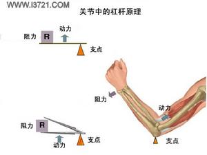 （圖）槓桿原理