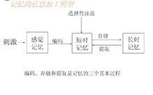 感覺記憶