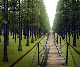 漲渡湖風景旅遊區