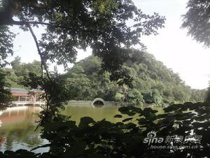 西山公園環境