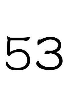 53