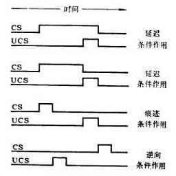 操作條件反射