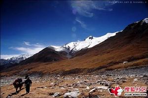 阿尼瑪卿雪山