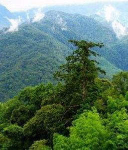 天恆山風景區