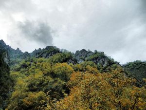 察汗河森林公園