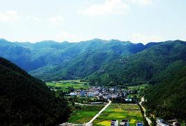 金村[江蘇省張家港市塘橋鎮金村村]